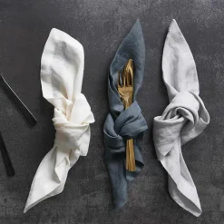 Aida 4er Leinenservietten 45x45cm grau