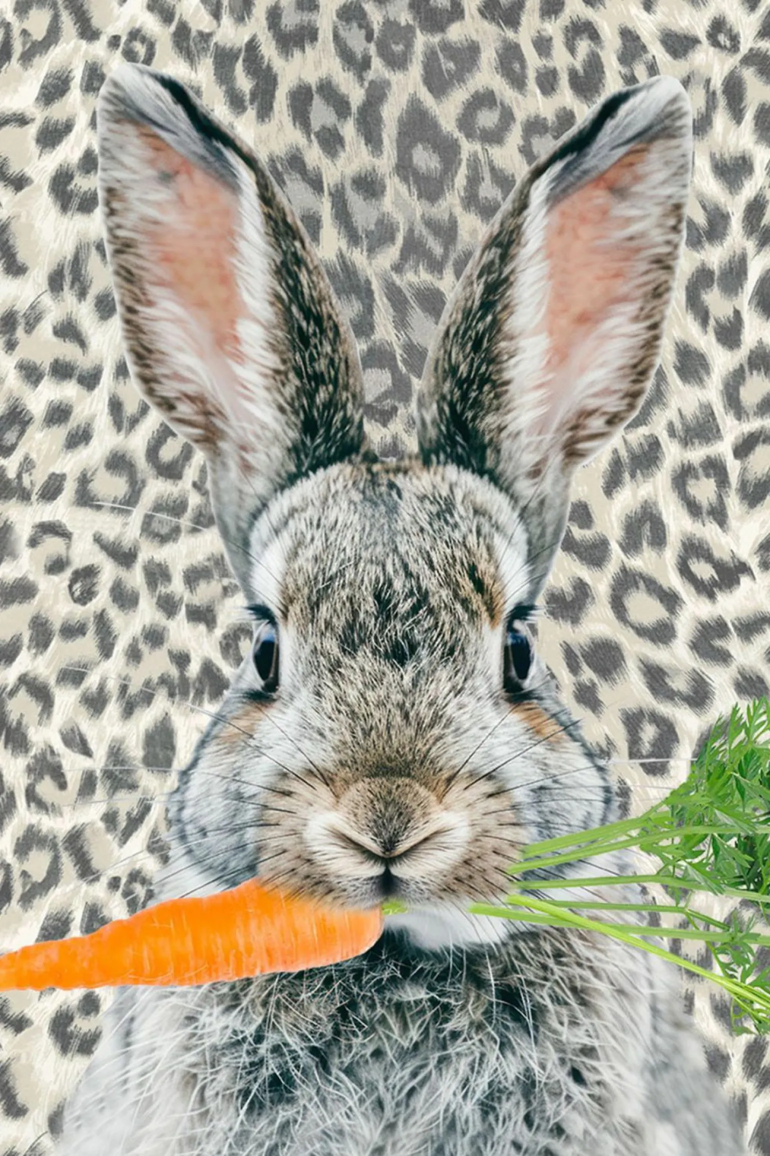 Apelt Kissenhülle beigegrau