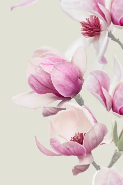 Apelt Kissenhülle graupink