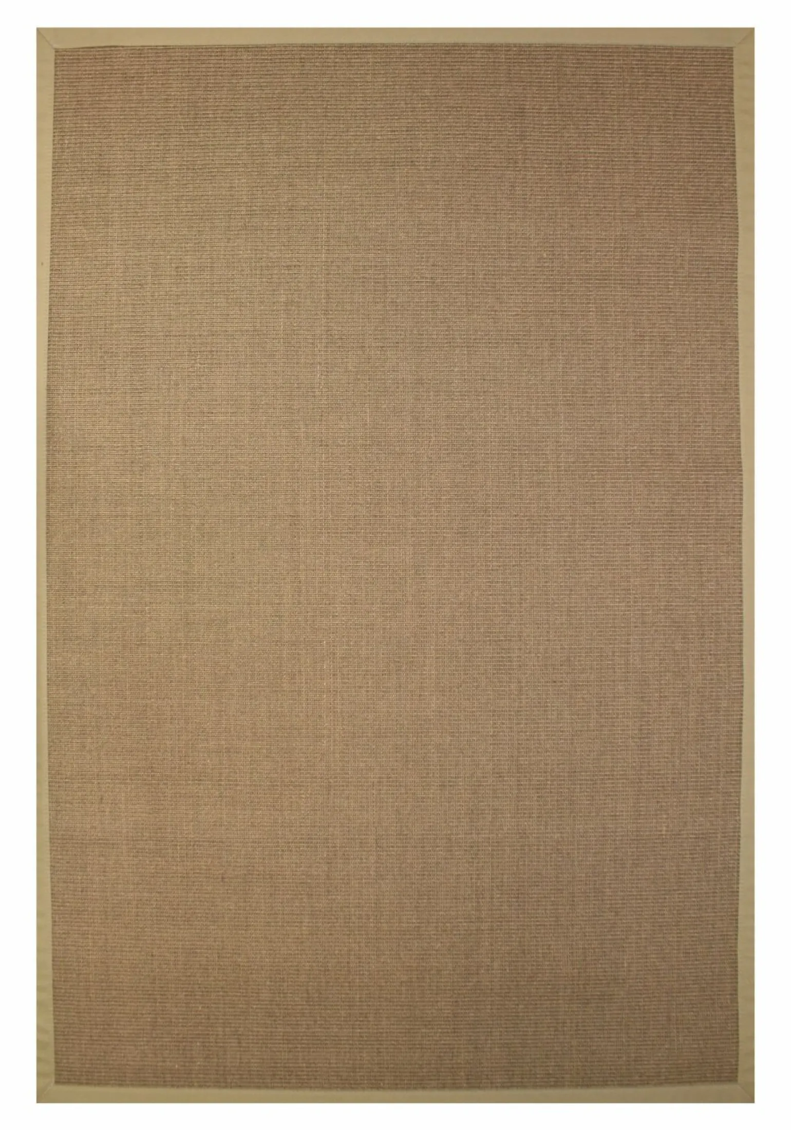 Astra Sisal-Bordürenteppich beige