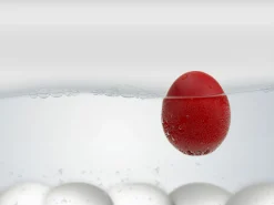 Brainstream PiepEi Classic rot