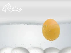 Brainstream Piepei orange