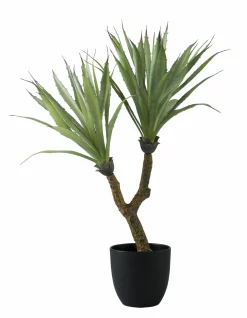 casa NOVA casaNOVA Kunstpflanze 65cm grün