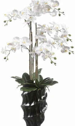 casa NOVA Orchidee 110cm schwarzweiß