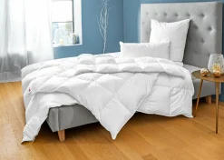 CENTA-STAR Dauneneinziehdecke 620g weiß