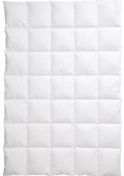 CENTA-STAR Dauneneinziehdecke 620g weiß