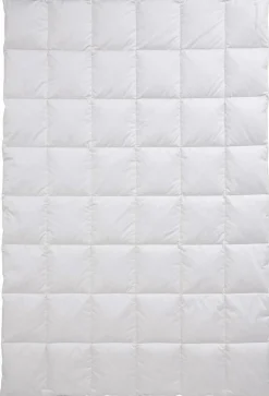 CENTA-STAR Dauneneinziehdecke 400g beige
