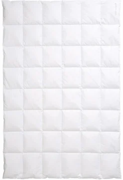 CENTA-STAR Dauneneinziehdecke 530g weiß