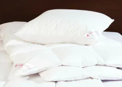 CENTA-STAR Dauneneinziehdecke 420g weiß