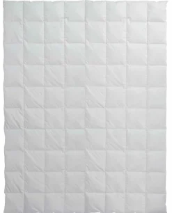 CENTA-STAR Dauneneinziehdecke 230g beige