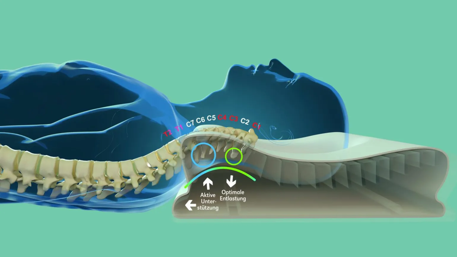 CENTA-STAR Nackenstützkissen weiß