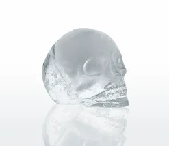 Cilio Eiswürfelform grau