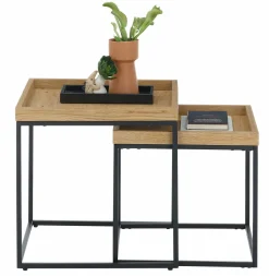 Couchtisch 2er Set braun