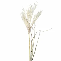 DPI Pampasgras 97cm beige