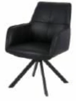 Esszimmerstuhl schwarz