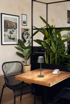 FH Lighting LED-Akku-Tischleuchte 1flg grau