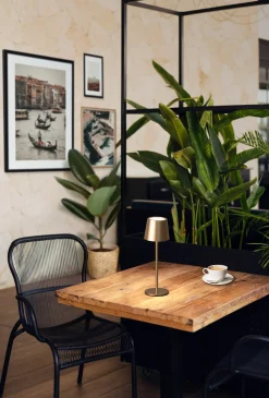 FH Lighting LED-Akku-Tischleuchte 1flg braun