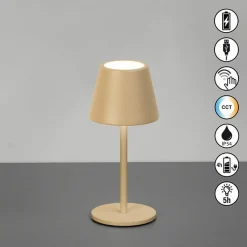 FH Lighting LED-Akku-Tischleuchte 1flg braun