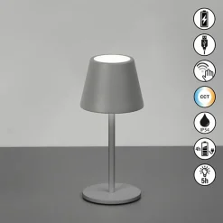 FH Lighting LED-Akku-Tischleuchte 1flg grau