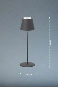 FH Lighting LED-Akku-Tischleuchte 1flg grau