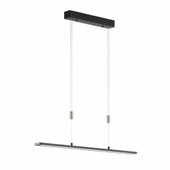 Fischer & Honsel LED-Pendelleuchte 1flg schwarz