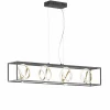 Fischer & Honsel LED-Pendelleuchte 4flg schwarz