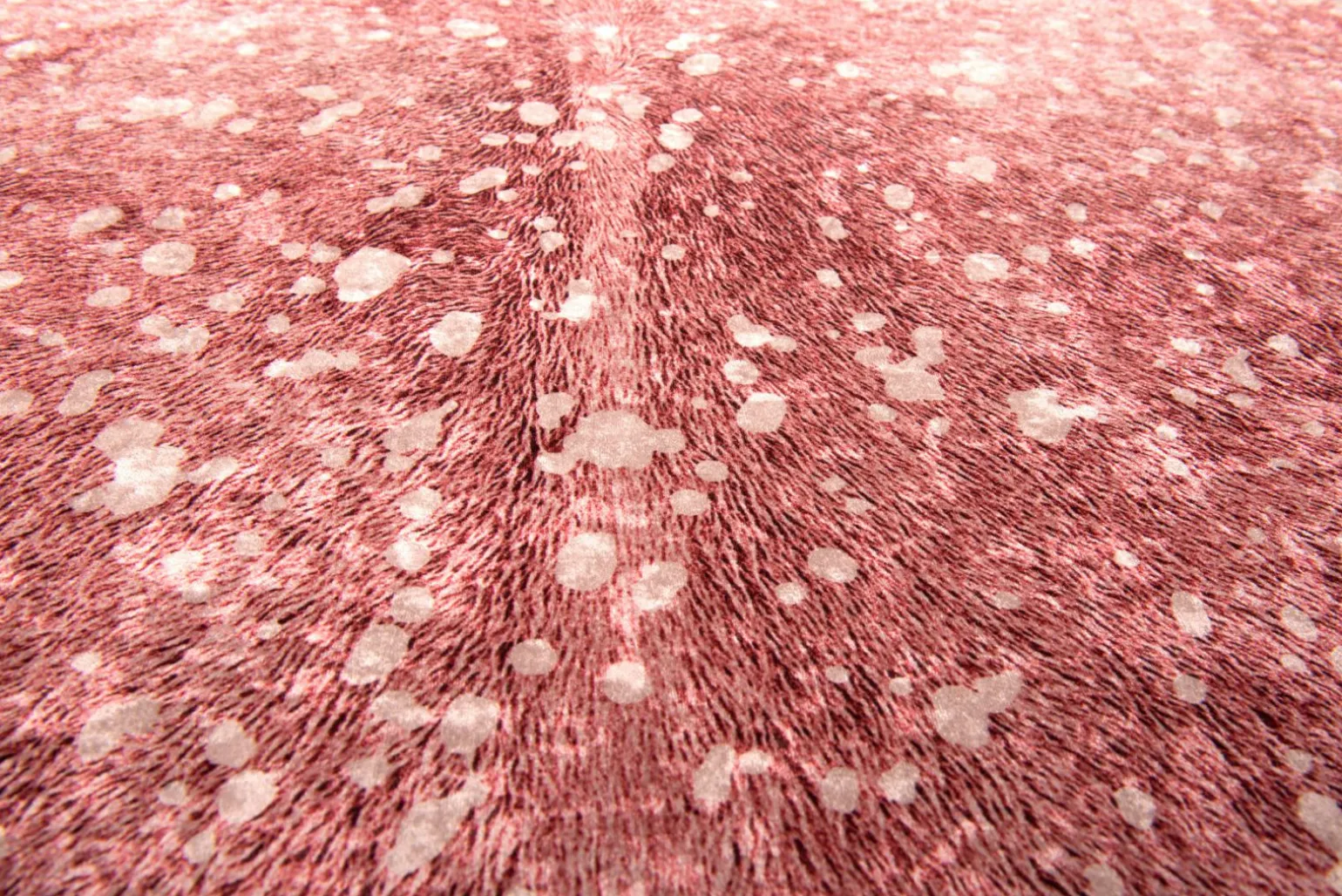 GINO FALCONE Fellform-Webteppich Gr.3 pink