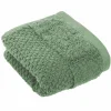 Inspiration Home Gästetuch grün