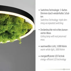 JUST LIGHT LED-Deckenleuchte 1flg grün