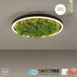 JUST LIGHT LED-Deckenleuchte 1flg grün