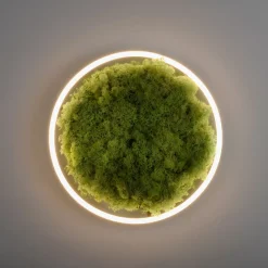 JUST LIGHT LED-Deckenleuchte 1flg grün