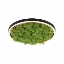 JUST LIGHT LED-Deckenleuchte 1flg grün