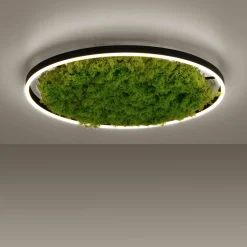 JUST LIGHT LED-Deckenleuchte 1flg grün