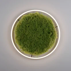 JUST LIGHT LED-Deckenleuchte 1flg grün