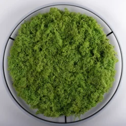 JUST LIGHT LED-Deckenleuchte 1flg grün