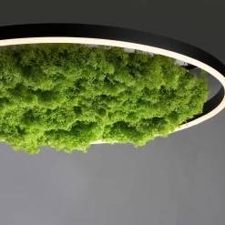 JUST LIGHT LED-Deckenleuchte 1flg grün