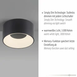 JUST LIGHT LED-Deckenleuchte 1flg schwarz