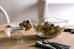 Leonardo Schale transparent