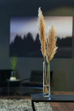 Leonardo Solifleurvase 30cm transparent