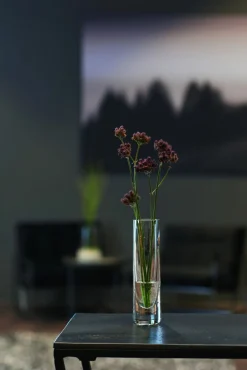 Leonardo Solifleurvase 16,4cm transparent