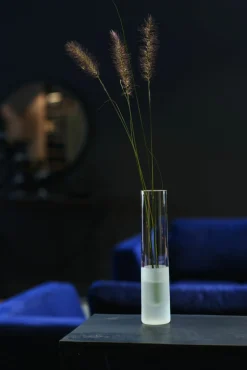 Leonardo Solifleurvase 24cm transparent