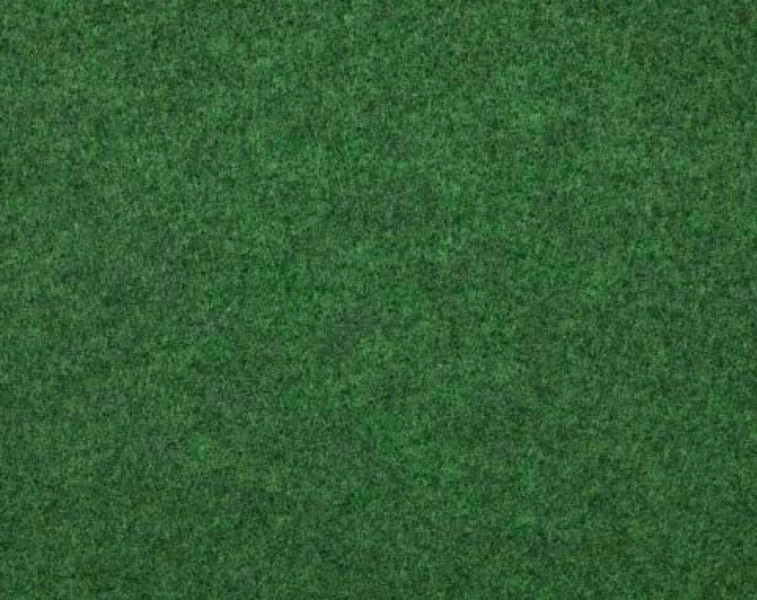 Luxor - Reinkemeier Outdoor-Teppich Kunst-Rasen grün