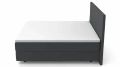 MONDO Boxspringbett blau