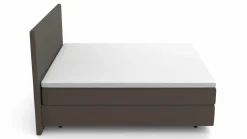 MONDO Boxspringbett braun