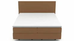 MONDO Boxspringbett goldfarben