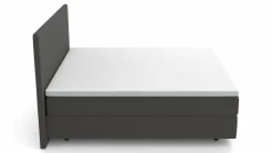 MONDO Boxspringbett grau