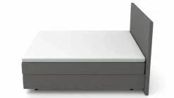 MONDO Boxspringbett grau