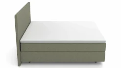 MONDO Boxspringbett grün