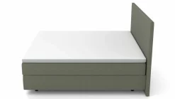 MONDO Boxspringbett grün