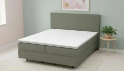 MONDO Boxspringbett grün